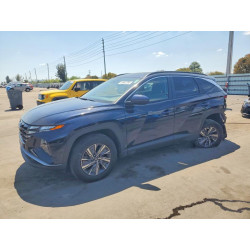 2022 HYUNDAI TUCSON HYB KM8JBCA13NU078047 46962296