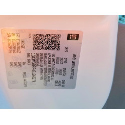 2025 CHEVROLET EXPRESS 1GCWGBFP4S1260274 99441275