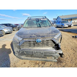 2024 TOYOTA RAV4 4T3MWRFV0RU135012 73300885