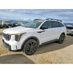 2025 KIA SORENTO 5XYRHDJF8SG396153 75238765