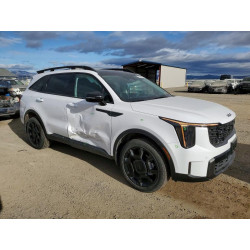 2025 KIA SORENTO 5XYRHDJF8SG396153 75238765