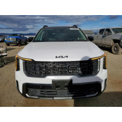 2025 KIA SORENTO 5XYRHDJF8SG396153 75238765