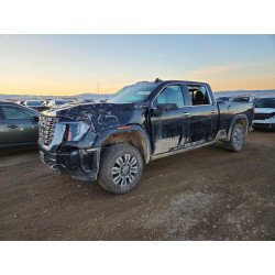 2024 GMC SIERRA 1GT49XEY9RF117018 77132955
