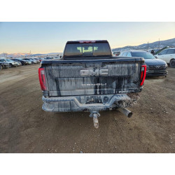 2024 GMC SIERRA 1GT49XEY9RF117018 77132955