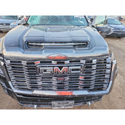 2024 GMC SIERRA 1GT49XEY9RF117018 77132955