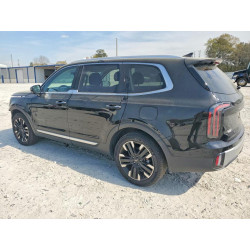 2023 KIA TELLURIDE 5XYP5DGC0PG381084 46872766
