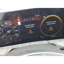 2023 KIA TELLURIDE 5XYP5DGC0PG381084 46872766