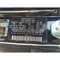 2023 KIA TELLURIDE 5XYP5DGC0PG381084 46872766