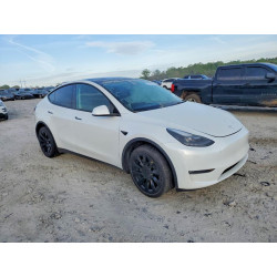 2023 TESLA MODEL Y 7SAYGDEE3PF692795 48238976