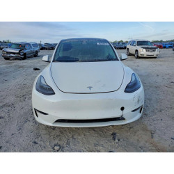 2023 TESLA MODEL Y 7SAYGDEE3PF692795 48238976
