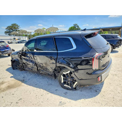 2024 KIA TELLURIDE 5XYP34GC1RG492705 49573376