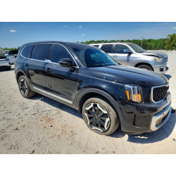 2024 KIA TELLURIDE 5XYP34GC1RG492705 49573376