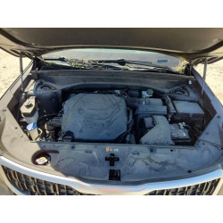 2024 KIA TELLURIDE 5XYP34GC1RG492705 49573376