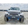 2021 JEEP WRANGLER 1C4JJXP69MW732442 79419395