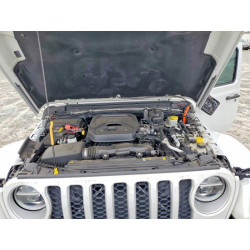 2021 JEEP WRANGLER 1C4JJXP69MW732442 79419395