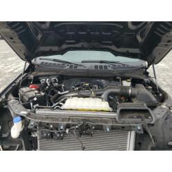 2024 FORD F150 1FTEX2KP2RKF78352 81787615