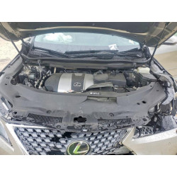 2021 LEXUS RX350 2T2HZMDA7MC294426 48914426