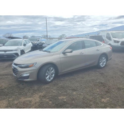 2025 CHEVROLET MALIBU 1G1ZD5ST5SF144023 46937826