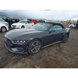 2024 FORD ALL Models 1FAGP8UH1R5121005 46939726