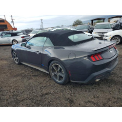 2024 FORD ALL Models 1FAGP8UH1R5121005 46939726