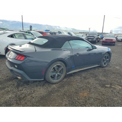 2024 FORD ALL Models 1FAGP8UH1R5121005 46939726