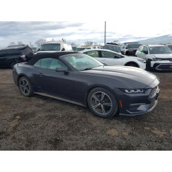 2024 FORD ALL Models 1FAGP8UH1R5121005 46939726