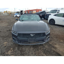 2024 FORD ALL Models 1FAGP8UH1R5121005 46939726
