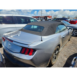 2024 FORD ALL Models 1FAGP8UH8R5123222 46961576