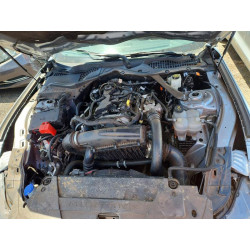 2024 FORD ALL Models 1FAGP8UH8R5123222 46961576