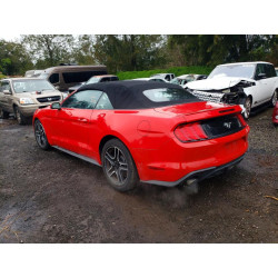 2023 FORD ALL Models 1FATP8UH1P5102403 48164506