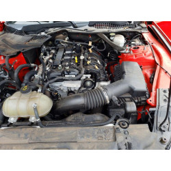 2023 FORD ALL Models 1FATP8UH1P5102403 48164506