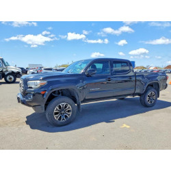 2020 TOYOTA TACOMA 5TFBZ5DN9LX004979 48176636