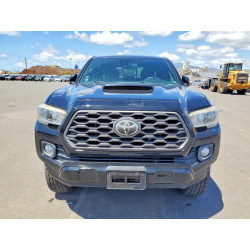 2020 TOYOTA TACOMA 5TFBZ5DN9LX004979 48176636