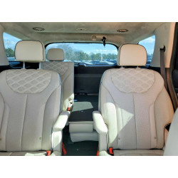 2020 HYUNDAI PALISADE KM8R5DHE4LU075129 79832895