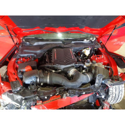 2024 FORD ALL Models 1FA6P8CF2R5428355 45525416