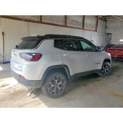 2025 JEEP COMPASS 3C4NJDCN7ST511938 48154726