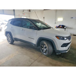 2025 JEEP COMPASS 3C4NJDCN7ST511938 48154726