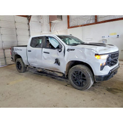 2022 CHEVROLET ALL Models 3GCPDCED4NG580310 75771575