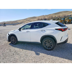 2026 LEXUS NX JTJHKCFZ6T2075103 45739546
