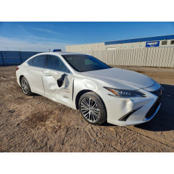 2025 LEXUS ES350 58ADZ1B13SU214032 77112035