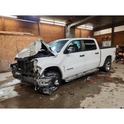 2023 RAM 1500 1C6SRFFT2PN546628 75195705
