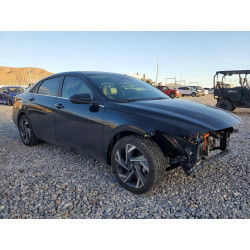 2025 HYUNDAI ELANTRA KMHLN4DJ2SU176421 49579466