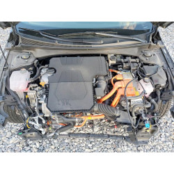 2025 HYUNDAI ELANTRA KMHLN4DJ2SU176421 49579466
