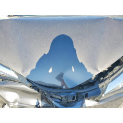 2020 TOYOTA C-HR JTNKHMBX7L1091040 50436726