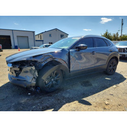 2023 MAZDA CX30 3MVDMBCM9PM541988 48093436
