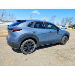 2023 MAZDA CX30 3MVDMBCM9PM541988 48093436