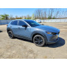 2023 MAZDA CX30 3MVDMBCM9PM541988 48093436