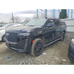 2023 CADILLAC ESCALADE 1GYS4KKL8PR211818 48253746