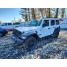 2021 JEEP WRANGLER 1C4HJXDG6MW784638 48504796
