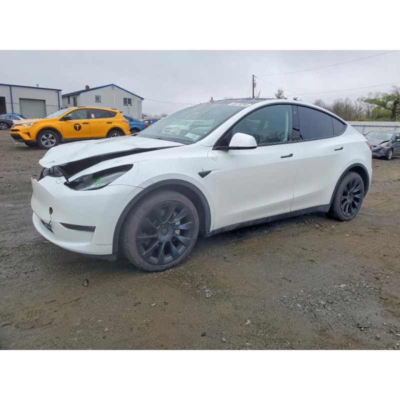 2023 TESLA MODEL Y 7SAYGDEE9PA061482 48570286